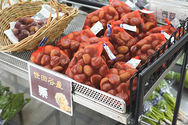 立派な大きさの栗も世田谷産